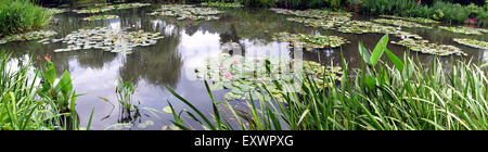 Panorama von Monets Garten in Giverny, Frankreich Stockfoto