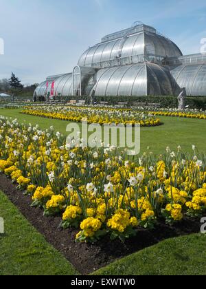 Blumenbeet im Palm House, Kew Gardens, London, England, UK Stockfoto