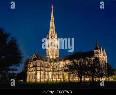 Salisbury Kathedrale bei Nacht, Wiltshire, England, UK Stockfoto