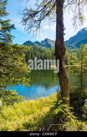 Herbstliche Landschaft am Tauernkarsee, Pongau, Österreich Stockfoto