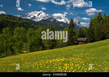 Pfeiffer Alm, Alpspitze, Wettersteingebirge, Bayern, Deutschland, Europa Stockfoto
