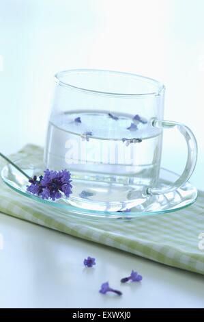 Lavendelblüten und Lavendelwasser in einer Tasse Stockfoto