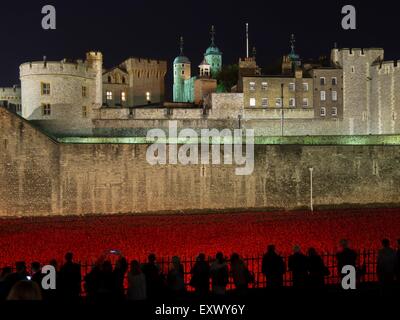 Mohn Installation am Tower of London in der Nacht, London, UK Stockfoto