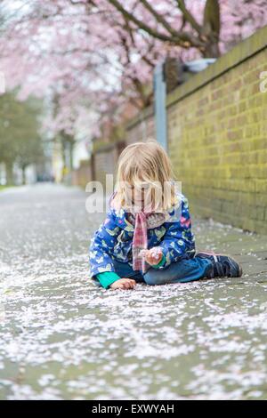 Mädchen sammeln Kirsche blüht, Kiel, Schleswig-Holstein, Deutschland, Europa Stockfoto