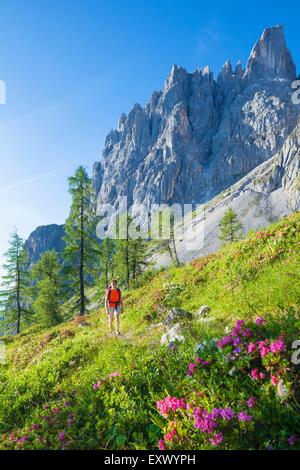 Frau Wandern am Hochkönig, Berchtesgadener Alpen, Österreich Stockfoto