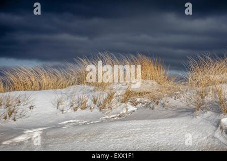 Verschneite Dünen, Sylt, Schleswig-Holstein, Deutschland, Europa Stockfoto