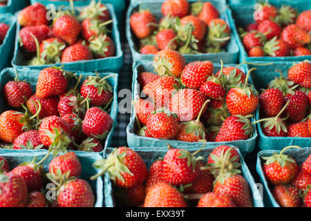 Kisten mit Erdbeeren Stockfoto