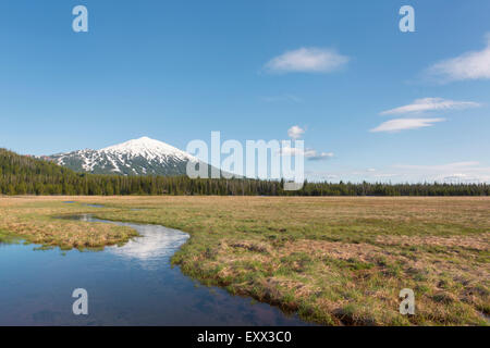 Blick auf schneebedeckten Mount Bachelor Stockfoto