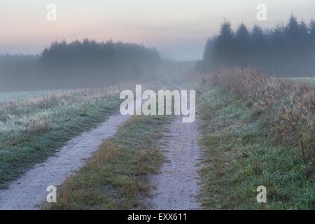 Schönen guten Morgen Landschaft auf Landschaft. Neblig und ruhigen Morgen in der Nähe von polnischen Dörfer. Ruhige Szene Stockfoto