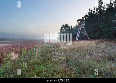 Schönen guten Morgen Landschaft auf Landschaft. Neblig und ruhigen Morgen in der Nähe von polnischen Dörfer. Ruhige Szene Stockfoto