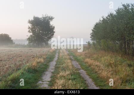 Schönen guten Morgen Landschaft auf Landschaft. Neblig und ruhigen Morgen in der Nähe von polnischen Dörfer. Ruhige Szene Stockfoto