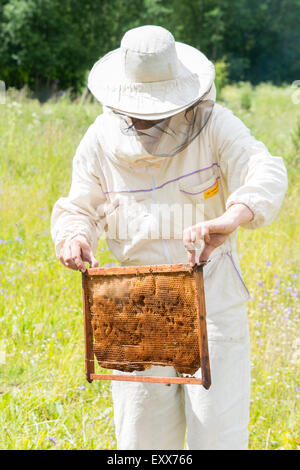 Juni Landwirtschaft Bienenhaus Biene Bienenstock Imker Bienenwachs Box
