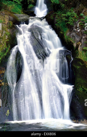 Deutschland, Schwarzwald: Kaskade von Triberg Wasserfall Stockfoto