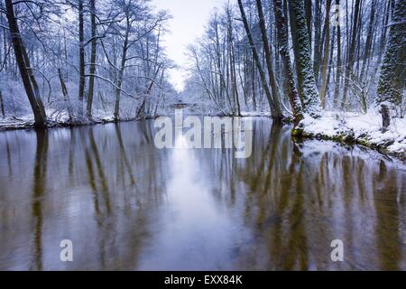 Winterwald mit schönen Fluss. Bäume im Wasser des Flusses. Herrliche Winterlandschaft Stockfoto