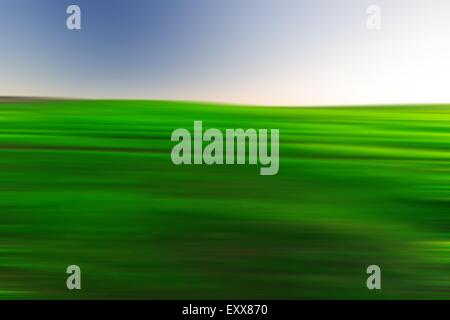 Verschwommen, defokussierten Feld Landschaft als Hintergrund nützlich. Fokus-Landschaft. Stockfoto