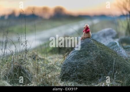 Kleinen Teddybär sitzend auf Stein in einer ländlichen Landschaft bei Sonnenuntergang Stockfoto
