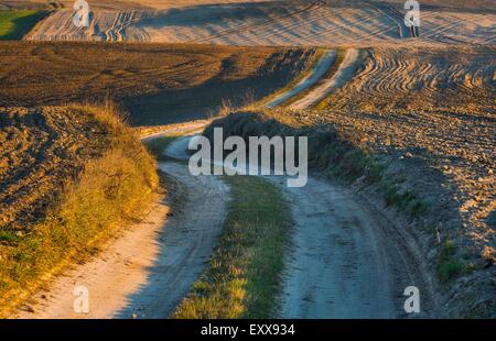 Gepflügt und gesät Feld Landscpe mit sandigen Feldweg in Polen im frühen Frühling fotografiert. Schöne ländliche Landschaft bei Stockfoto