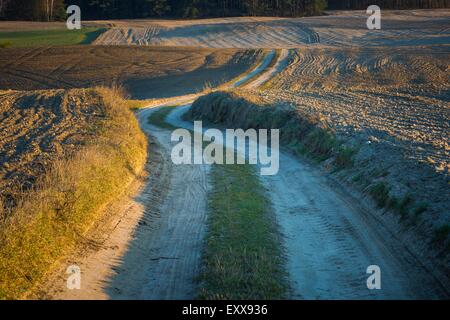 Gepflügt und gesät Feld Landscpe mit sandigen Feldweg in Polen im frühen Frühling fotografiert. Schöne ländliche Landschaft bei Stockfoto