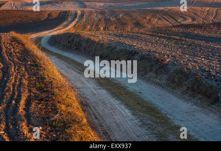 Gepflügt und gesät Feld Landscpe mit sandigen Feldweg in Polen im frühen Frühling fotografiert. Schöne ländliche Landschaft bei Stockfoto