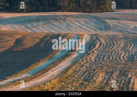 Gepflügt und gesät Feld Landscpe mit sandigen Feldweg in Polen im frühen Frühling fotografiert. Schöne ländliche Landschaft bei Stockfoto