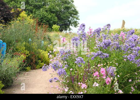 Wildblumen wachsen durch einen Pfad in Sheffield Manor Lodge, Heimat von impressionistischer Flowerr Bepflanzung Systeme, South Yorkshire, England UK Stockfoto