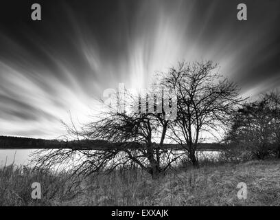 Schöne Langzeitbelichtung Landschaft des verschwommenen Himmel über verwelkte Apfelbaum am Seeufer. Schnell bewegte Wolken fotografiert auf lange Stockfoto