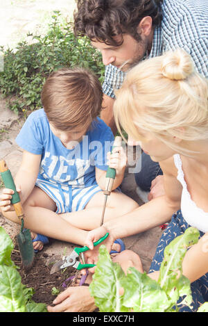 Kleiner Junge seine Eltern arbeiten im Gemüsegarten Stockfoto