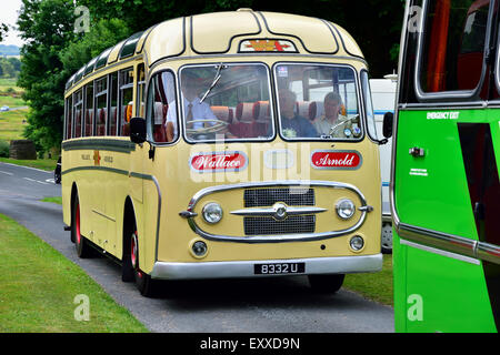 1958 AEC Reliance Plaxton Consort C41C (Reg. 8332U) Stockfoto