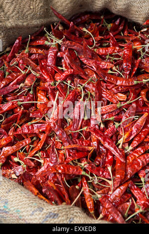 Haufen von frische rote Chilischoten auf dem Display in Sackleinen Korb am Markt in Indien Stockfoto