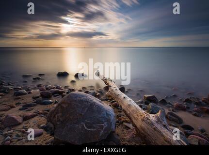 Beautifu felsigen Küste mit Treibholz Bäume Stämme bei Sonnenaufgang oder Sonnenuntergang. Ostsee-Küste Stockfoto