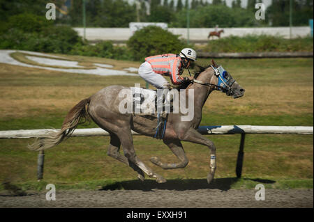 Jockey Rennen in Vancouver Hastings Exhibition Park Rennstrecke. Stockfoto