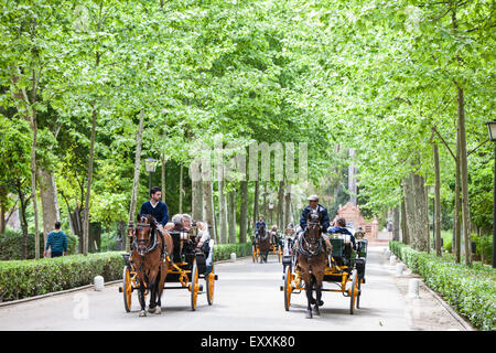 Pferdekutsche Wagen/Wagen/Kutsche gehen durch den Park in Sevilla, Sevilla, Andalusien, Spanien, Europa-Center. Während der April Feria Festival. Stockfoto