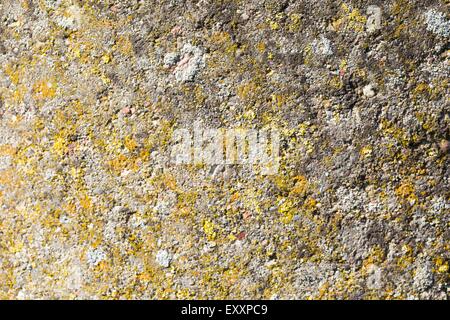 Alten zerstört Betonwand Textur als Hintergrund nützlich. Stockfoto