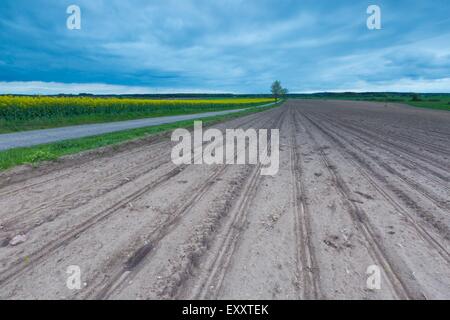 Gepflügtes Feld Landschaft in Ruhe polnische Landschaft. Frühlings-Landschaft Stockfoto