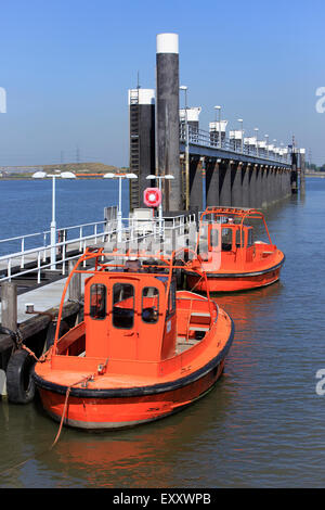 Maritime Lotsenboot Orange Brabo vertäut am Lillo in den Hafen von Antwerpen, Belgien Stockfoto