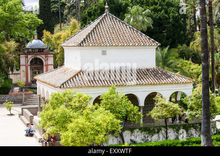 Königlichen Alcazar Gärten im Zentrum von Sevilla, Andalusien, Spanien, Europa. Stockfoto