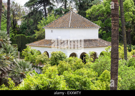 Am königlichen Alcazar Gärten im Zentrum von Sevilla, Andalusien, Spanien, Europa. Stockfoto