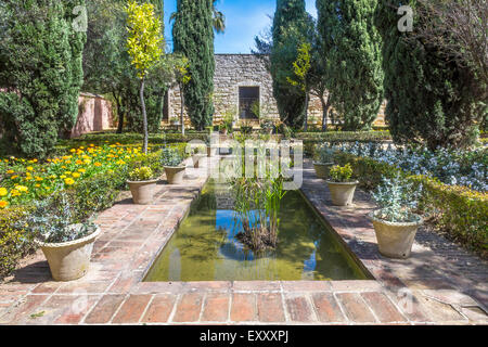 Gärten In The Alcazar Jerez De La Frontera Andalucia Spanien Stockfoto