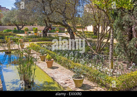 Gärten In The Alcazar Jerez De La Frontera Andalucia Spanien Stockfoto