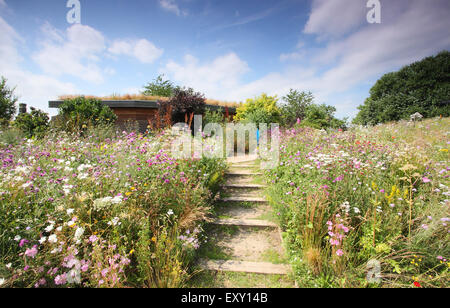 Ein begrüntes Dach wächst auf Discovery Centre, Sheffield Manor Lodge - Haus einer impressionistischen Blume Pflanzen Regelung Yorkshire UK Stockfoto