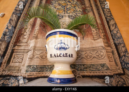 Keramik mit einer Pflanze im königlichen Alcazar im Zentrum von Sevilla, Andalusien, Spanien, Europa.  Royal Stockfoto