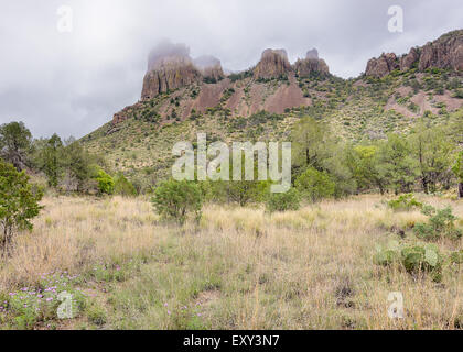 Casa Grande im Nebel, auf den Zinnen / Emory Peak Trail im Bereich Chisos Mountains Becken, Big Bend Nationalpark, Texas. Stockfoto