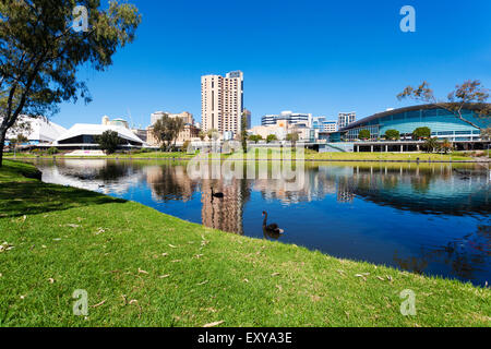 Adelaide Stadt Stockfoto