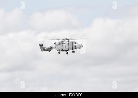 Ein Luchs HMA.8 Hubschrauber der Royal Navy Black Cats Helikopter Display Team auf der 2015 Yeovilton Air Show Stockfoto