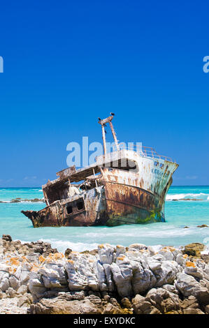 Schiffbruch des The Meisho Maru 38 am Kap Agulhas an einem klaren, ruhigen, sonnigen Tag. Stockfoto