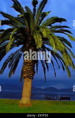 Massaciuccoli See, Viareggio, Torre del Lago Puccini, Provinz Lucca, Toskana Italien Europa. Stockfoto