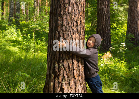 Kind (junge, Hände) umarmt Kiefer, Spiel und Spaß im Freien im Sommer Wald (Park) Stockfoto