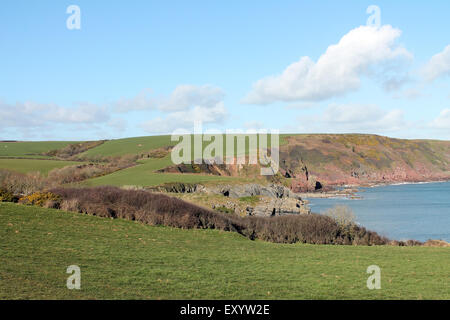 Landschaft bei einem Spaziergang nach Barafundle Bay Strand, Pembrokeshire, West Wales. UK Stockfoto