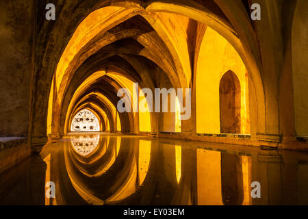 Spanien, Sevilla, Alcazar. Los Banos de Dona Maria de Padilla. Stockfoto