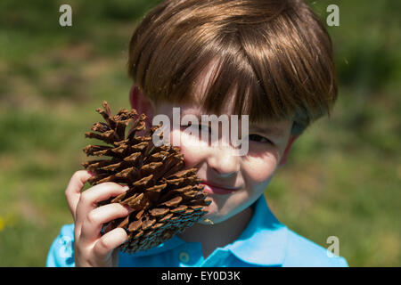 Kleiner Junge mit Tannenzapfen Stockfoto